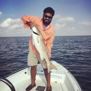 Meet your Posher, Luis